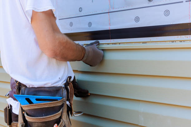 Affordable Vinyl Siding solutions in Elon, NC